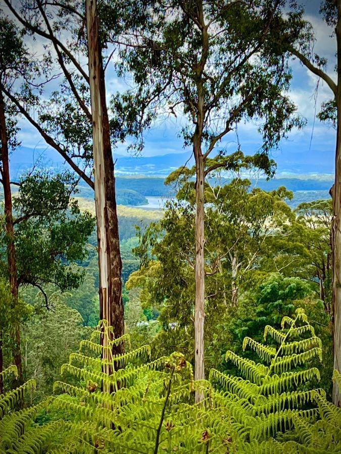 Melbourne Topview Villa In Dandenong Ranges Near Skyhigh Kalorama Extérieur photo