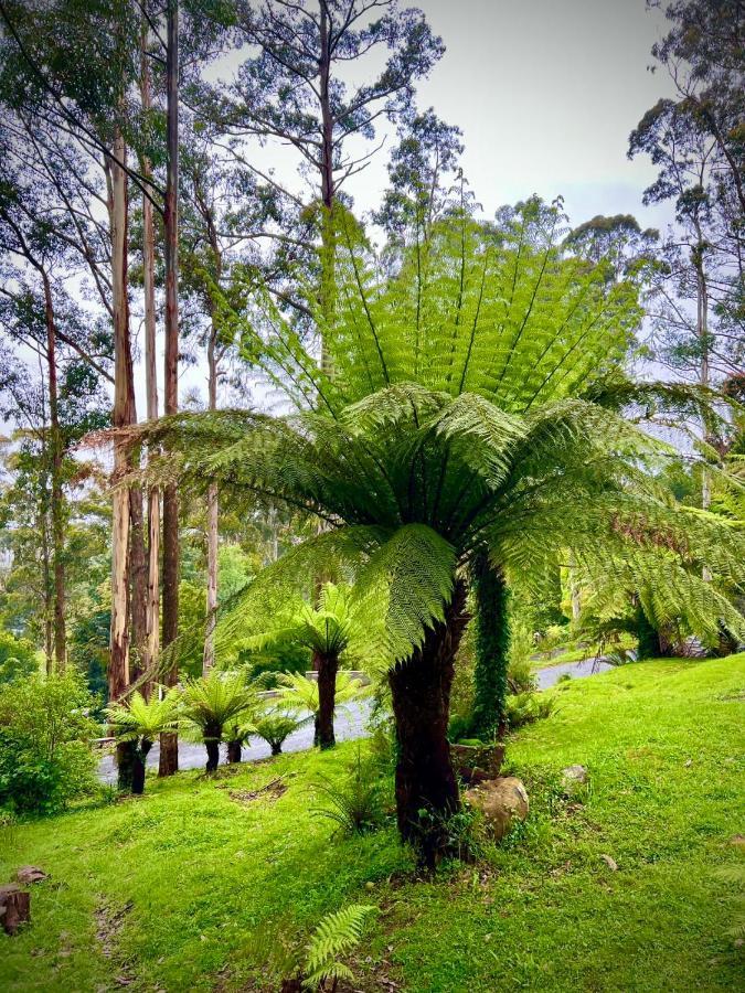Melbourne Topview Villa In Dandenong Ranges Near Skyhigh Kalorama Extérieur photo