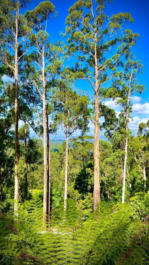 Melbourne Topview Villa In Dandenong Ranges Near Skyhigh Kalorama Extérieur photo