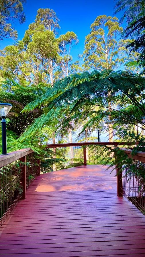 Melbourne Topview Villa In Dandenong Ranges Near Skyhigh Kalorama Extérieur photo