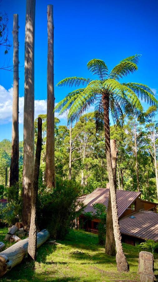 Melbourne Topview Villa In Dandenong Ranges Near Skyhigh Kalorama Extérieur photo