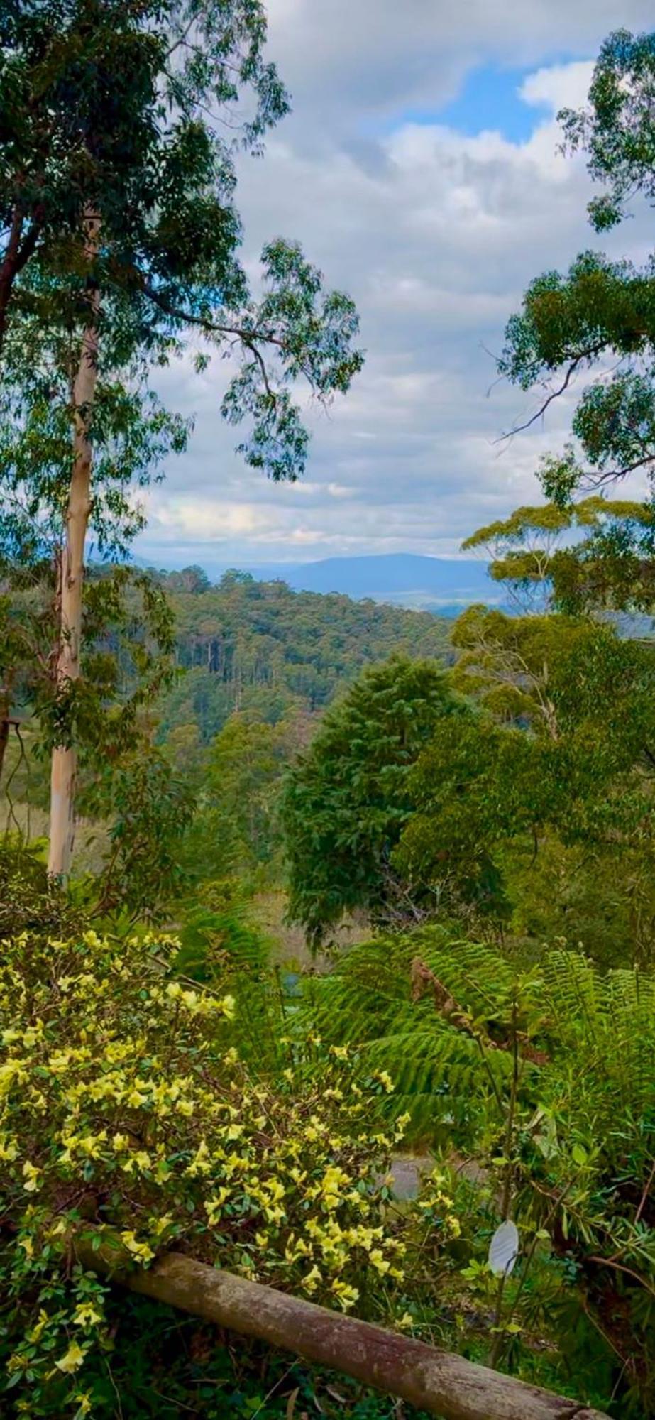 Melbourne Topview Villa In Dandenong Ranges Near Skyhigh Kalorama Extérieur photo