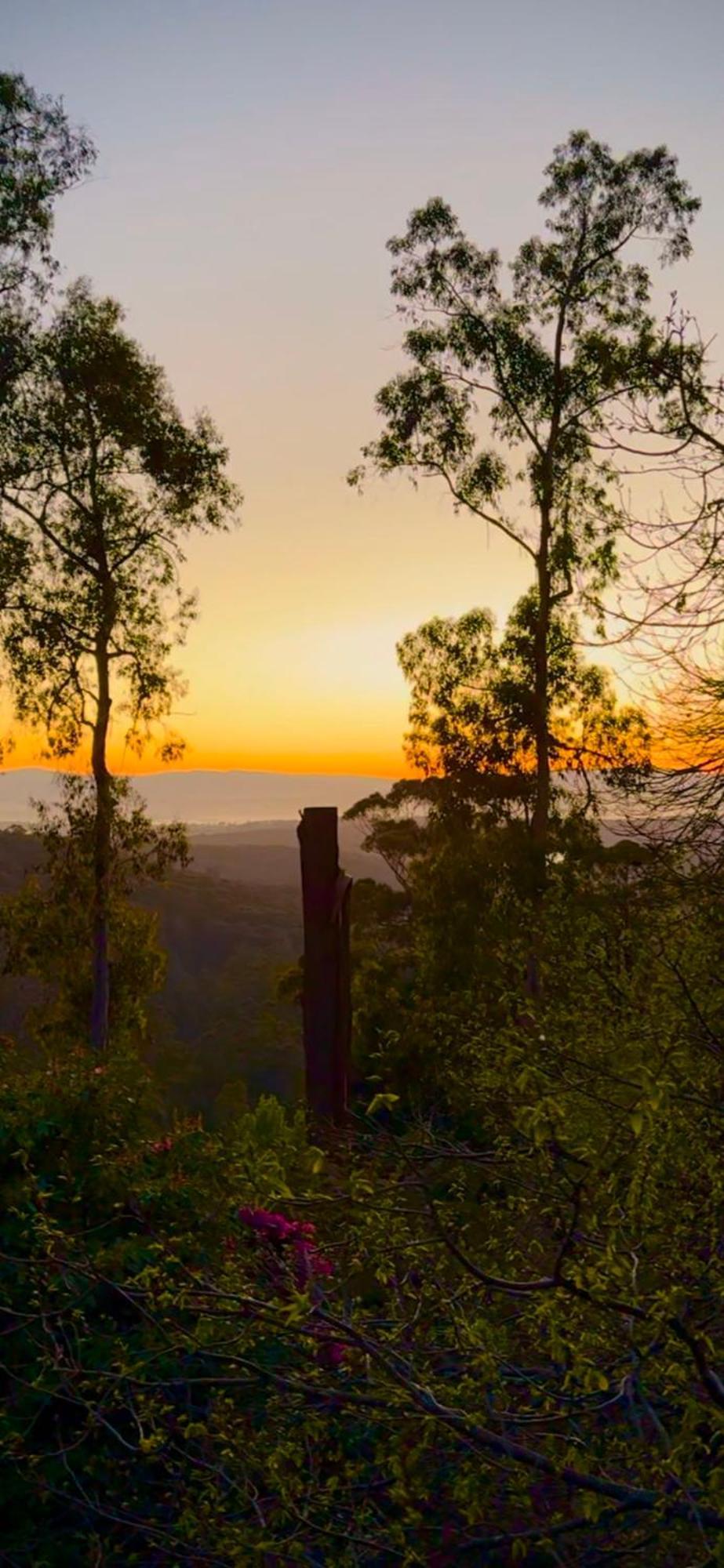 Melbourne Topview Villa In Dandenong Ranges Near Skyhigh Kalorama Extérieur photo