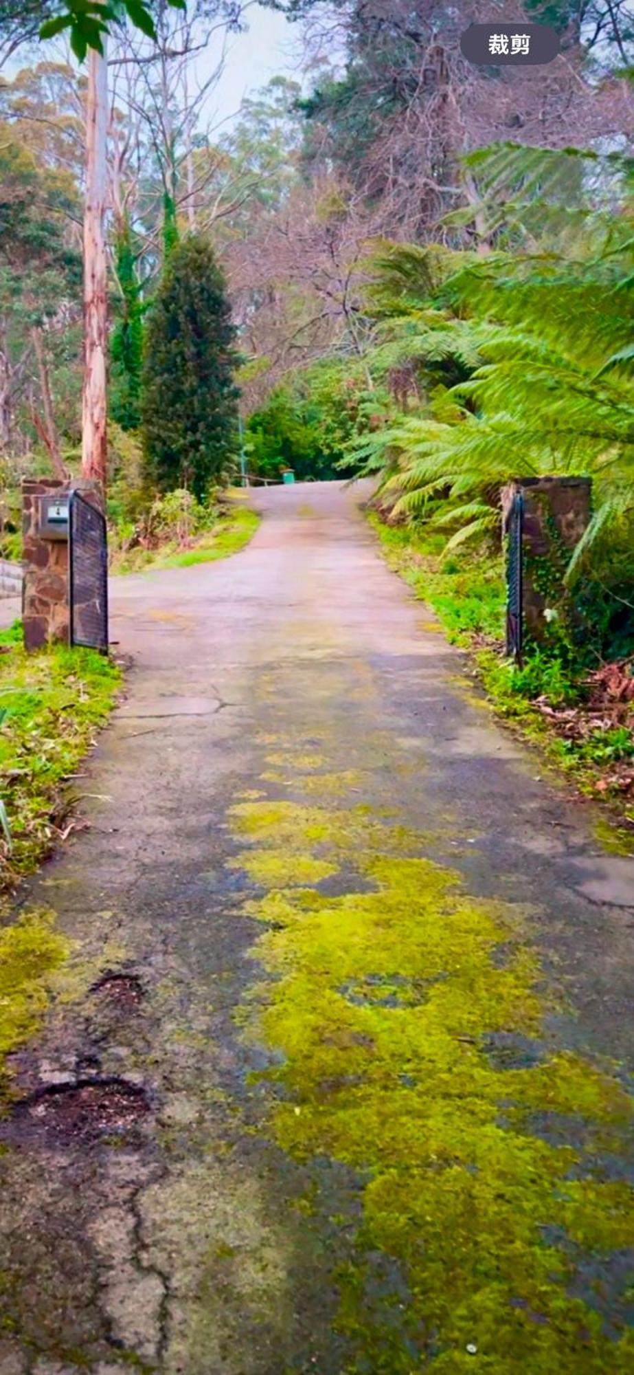 Melbourne Topview Villa In Dandenong Ranges Near Skyhigh Kalorama Extérieur photo